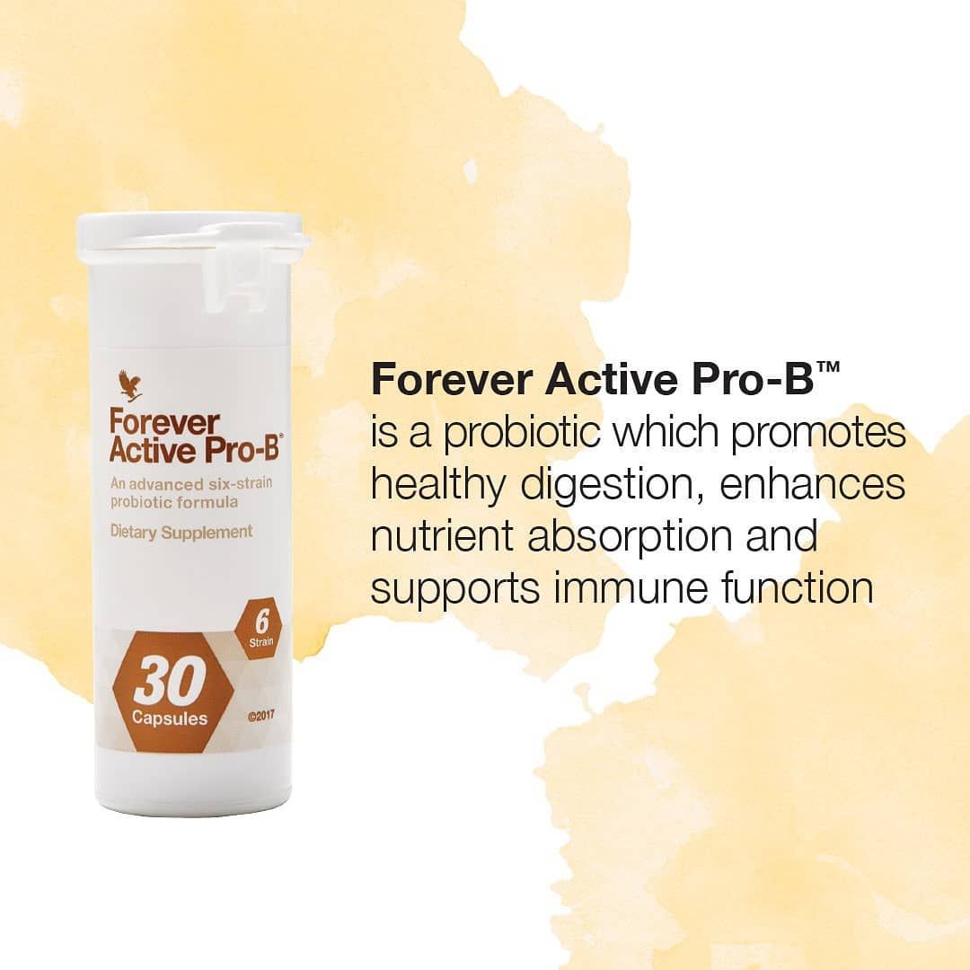 Digestive & Gut Health Support