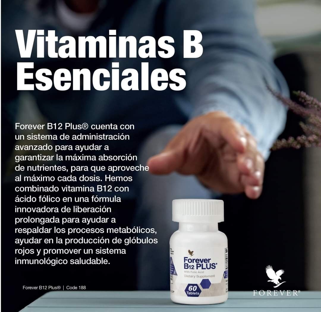 B12 & Folic Acid Essentials
